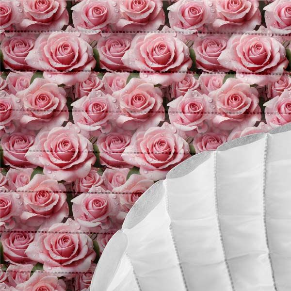 Jerse Takoy foto trandafir roz deschis