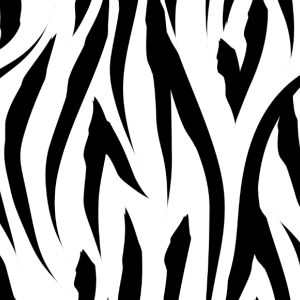 Jerse funcțional pentru tricou model zebră