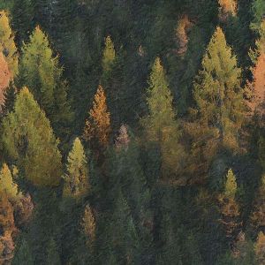 French terry Milano pictură pădure lățime 150cm